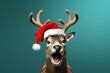 Funny surprised reindeer with santa hat studio shot isolated bright color background