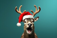 Funny Surprised Reindeer With Santa Hat Studio Shot Isolated Bright Color Background