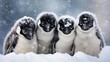 A group of penguins huddled together, bracing against a fierce Antarctic blizzard.