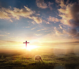 Wall Mural - a lost sheep on Silhouettes of crucifix symbol on mountain with bright sunbeam on the colorful sky background