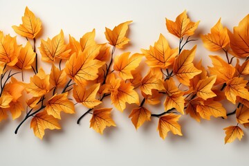 Wall Mural - autumn leaves background