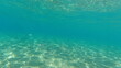 Underwater world on Crete in October 2023