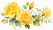 © piggu - yellow roses bunch watercolor painting on white background for floral delightful wedding card decoration
