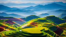 Colorful Rice Fields On Terraced In Mu Cang Chai, Vietnam Rice Field, Majestical Contours And Patchwork Curves Of Efficient Vietnamese Agriculture Land. Immense Plantation Drone Birds Eye View, 