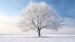 essence of winter with compelling stock images of a tree without leaves, symbolizing the tranquility of the season. Ideal for winter landscapes, seasonal concepts, and minimalistic designs.