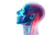 Person's spine x-ray in blue and red colors isolated on transparent background. Pain concept