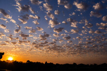 Sunrise Sky With Dotty Clouds And Silhouetted Trees On Skyline