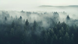 Fototapeta Las - Aerial view of a foggy forest