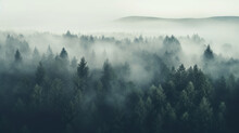 Aerial View Of A Foggy Forest