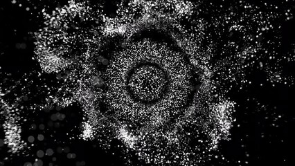 Wall Mural - Abstract Background Black And White Bubbling Circles 24
