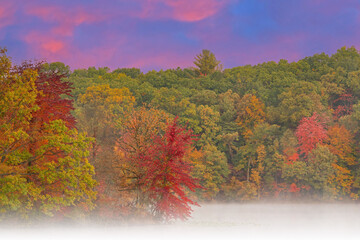 Wall Mural - Foggy autumn landscape at dawn of the shoreline of Hall Lake, Yankee Springs State Park, Michigan, USA