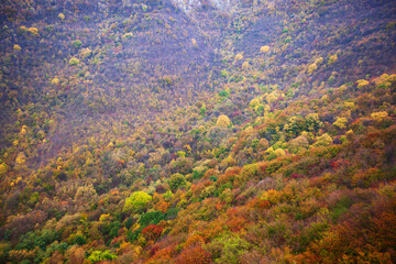 Canvas Print - Tranquil mountain landscape with panoramic sky and forest, peaceful nature scene.