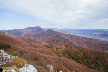 Canvas Print - Tranquil mountain landscape with panoramic sky and forest, peaceful nature scene.