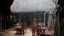 Heavy Rain In Slow Motion In African Lodge. Falling Raindrops In Slow Motion. Chobe In Botswana, Africa.