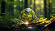 a colorful glass ball in a natural forest, crystal ball in the woods