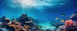 Fototapeta Do akwarium - beautiful underwater scenery with various types of fish and coral reefs, Generative AI