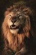 canvas print picture - portrait of a lion