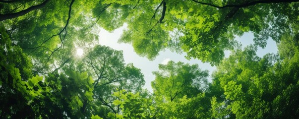 looking up at the green tops of trees, generative ai