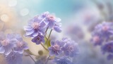 Fototapeta Kwiaty - Lavender flowers in the garden in pastel colors