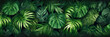 Grüne, exotische Pflanzen mit grossen Blättern im Regenwald. Generiert mit KI