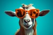 goat with sunglasses, in the style of saturated colorism