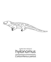 Wall Mural - Hylonomus, the oldest reptile (stem tetrapod) without any doubt, creature from the Carboniferous Period, black and white line art illustration. Ideal for coloring and educational purposes