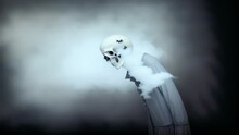 Generative Ai Motion Animation Of Surreal Painting Of A Skeleton Monster Into The Fog. Digital Image Painted Horror Deformed Skull Creature. Halloween Backdrop In Impressionism Style.