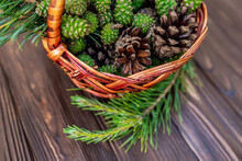 Rustic Basket Filled With Freshly Picked Pine Cones For Jam-making