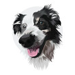 Border collie dog face portrait. Sticker on a white background. Cute detailed dog Drawing. Cartoon style. Popular character. Black and white coat. Flat style. Black lines, painting. Hand-drawn vector.