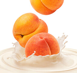 Wall Mural - Apricots falling into milk splash isolated on color background