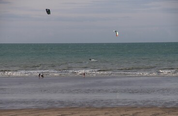 Wall Mural - kite surfing on the beach