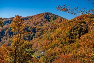 Canvas Print - autumn