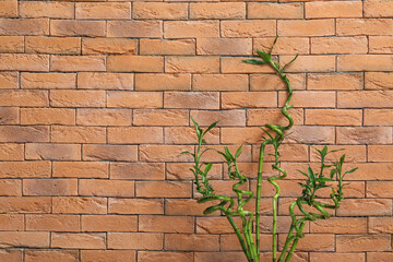 Wall Mural - Green bamboo stems against brick wall