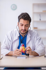 Wall Mural - Young male doctor cardiologist working in the clinic