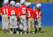 View of a little league Tee ball team gathered together after a game. 3-4 year old children at a baseball park.