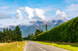 Hedges and shelterbelts on the Canterbury Plains of New Zealand
