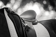 black and white image of English saddle