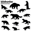 Set of wolverine animal silhouette vector illustrations
