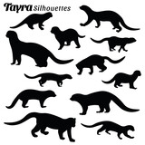 Fototapeta Dinusie - Vector illustration of silhouettes of tayra animal set
