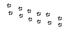 Rabbit Paws. Animal Paw Prints, Vector Illustration Different Forest Animals Footprints Black On White Illustration For Different Design Uses. 