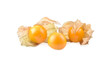 Cape gooseberry (physalis) isolated on white background.
