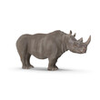 Rhinoceros PNG