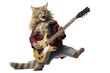 Funny rockstar cat guitarist