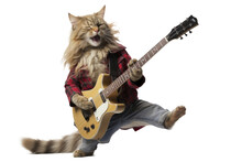 Funny Rockstar Cat Guitarist