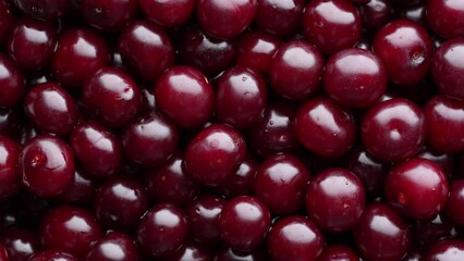 Wall Mural - Ripe red cherry rotating, close up, top view. Vegetarian meal, healthy and useful. Background of fresh red cherries