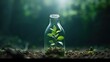 Recycle plastic bottle to grow plants promoting eco friendly concept