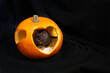 Halloween gerbil inside pumpkin invitation template
