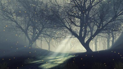 Wall Mural - mysterious woodland landscape with supernatural fairy firefly lights soaring over trail among old cr