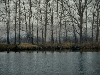  The river and the shore, on which tall trees, reeds and shrubs grow, it's early spring, the snow has melted, but now it's snowing heavily, the sky is overcast and foggy