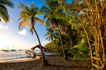 Wall Mural - “Anse Noire“ is a secluded tropical beach with rain forest and tall palm trees in Les Anses-d'Arlet on Martinique island, Caribbean Sea (France). Idyllic paradise with people on wooden footbridge.